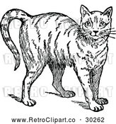 Vector Clip Art of Retro Friendly Cat by Prawny Vintage