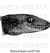Vector Clip Art of Retro Gecko Head by Prawny Vintage