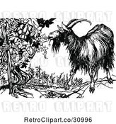 Vector Clip Art of Retro Goat Eating from an Ent Grape Vine by Prawny Vintage