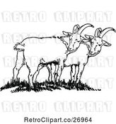 Vector Clip Art of Retro Goats by Prawny Vintage