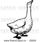 Vector Clip Art of Retro Goose by Prawny Vintage