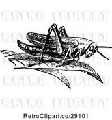 Vector Clip Art of Retro Grasshopper by Prawny Vintage