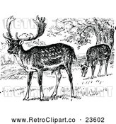 Vector Clip Art of Retro Grazing Fallow Deer by Prawny Vintage