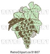 Vector Clip Art of Retro Gren Grapes with Leaves in Woodblock by AtStockIllustration