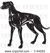Vector Clip Art of Retro Greyhound Dog by Patrimonio
