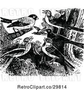 Vector Clip Art of Retro Group of Birds by Prawny Vintage