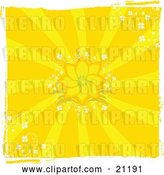 Vector Clip Art of Retro Grunge Floral Background with a Blooming Orange and Yellow Flower and Delicate White Flowers in the Corners by Elaineitalia