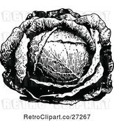 Vector Clip Art of Retro Head of Cabbage by Prawny Vintage