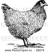 Vector Clip Art of Retro Hen Chicken by Prawny Vintage