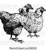 Vector Clip Art of Retro Hens by Prawny Vintage