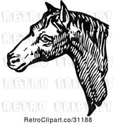 Vector Clip Art of Retro Horse Face 1 by Prawny Vintage