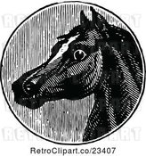 Vector Clip Art of Retro Horse Head 2 by Prawny Vintage