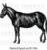 Vector Clip Art of Retro Horse or Mule by Prawny Vintage