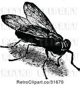 Vector Clip Art of Retro House Fly by Prawny Vintage