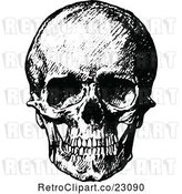 Vector Clip Art of Retro Human Skull 1 by Prawny Vintage