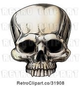 Vector Clip Art of Retro Human Skull by AtStockIllustration