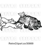 Vector Clip Art of Retro Hunting Dogs Attacking a Bear by Prawny Vintage