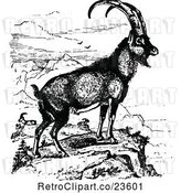 Vector Clip Art of Retro Ibex Wild Goat by Prawny Vintage