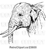 Vector Clip Art of Retro Indian Elephant by Prawny Vintage