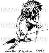 Vector Clip Art of Retro Injured Lion Using a Cane by Prawny Vintage