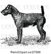 Vector Clip Art of Retro Irish Terrier Dog by Prawny Vintage