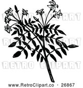 Vector Clip Art of Retro Jasmine Branch by Prawny Vintage