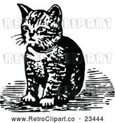 Vector Clip Art of Retro Kitten Sitting by Prawny Vintage