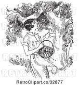 Vector Clip Art of Retro Lady Picking Apples from a Tree by Picsburg
