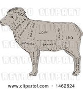 Vector Clip Art of Retro Lamb Profile Showing Cuts of Meat, in Drawing Sketch Style by Patrimonio