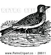 Vector Clip Art of Retro Lark Bird by Prawny Vintage