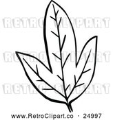 Vector Clip Art of Retro Leaf by Prawny Vintage