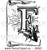 Vector Clip Art of Retro Letter F and Fly on a Scroll by Prawny Vintage