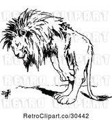Vector Clip Art of Retro Lion Standing over an Ant by Prawny Vintage