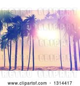 Vector Clip Art of Retro Lit Tropical Beach Sunset with Palm Trees, Painted Style by KJ Pargeter
