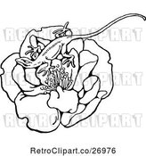 Vector Clip Art of Retro Lizard on a Flower by Prawny Vintage