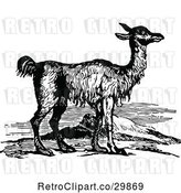 Vector Clip Art of Retro Llama by Prawny Vintage