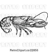 Vector Clip Art of Retro Lobster by Prawny Vintage