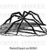 Vector Clip Art of Retro Long Legged Spider by Prawny Vintage