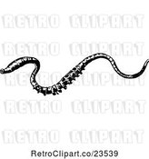 Vector Clip Art of Retro Lugworm by Prawny Vintage