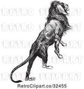 Vector Clip Art of Retro Majestic Lion by Picsburg
