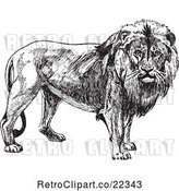 Vector Clip Art of Retro Male Lion by BestVector