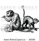 Vector Clip Art of Retro Monkeys by Prawny Vintage