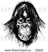 Vector Clip Art of Retro Orangutan by Prawny Vintage