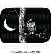Vector Clip Art of Retro Owl in a Tree at Night by Prawny Vintage