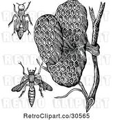 Vector Clip Art of Retro Paper Wasps and Honeycombs by Prawny Vintage