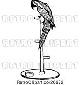Vector Clip Art of Retro Parrot on a Perch by Prawny Vintage