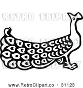 Vector Clip Art of Retro Peacock 1 by Prawny Vintage