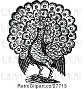 Vector Clip Art of Retro Peacock Bird 2 by Prawny Vintage