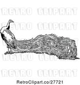 Vector Clip Art of Retro Peacock Bird by Prawny Vintage