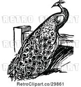 Vector Clip Art of Retro Peacock on a Fence by Prawny Vintage